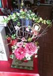 新春花.jpg